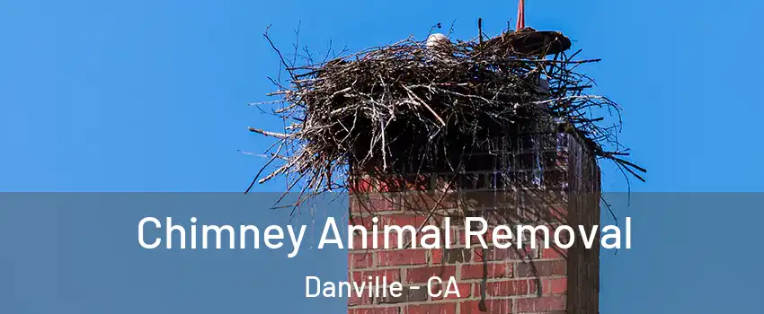 Chimney Animal Removal Danville - CA