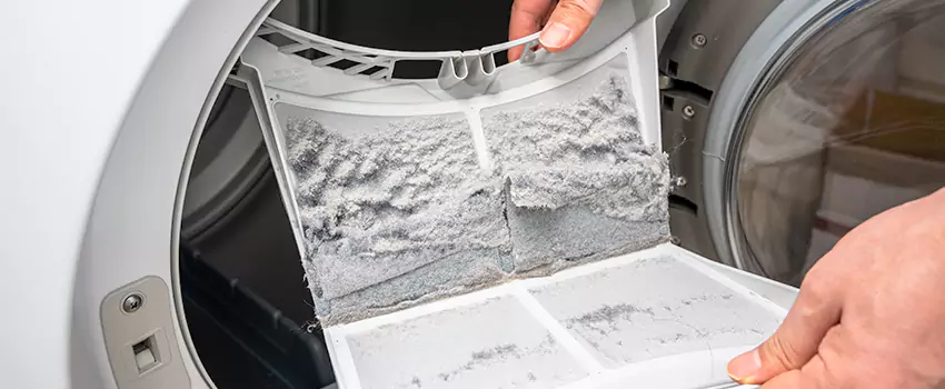 Best Dryer Lint Removal Company in Danville, California