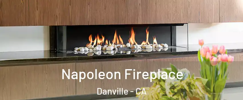  Napoleon Fireplace Danville - CA